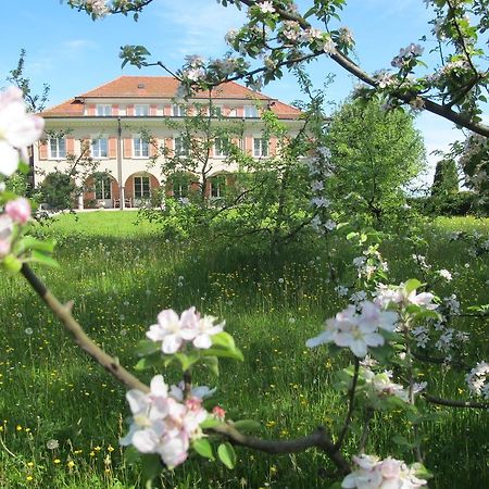 Burgbuehl Hotel Sankt Antoni ภายนอก รูปภาพ